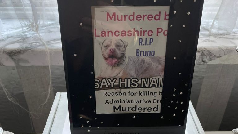 布鲁诺的骨灰用作肖像