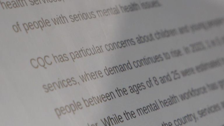 护理质量委员会 (CQC) 年度报告的屏幕截图