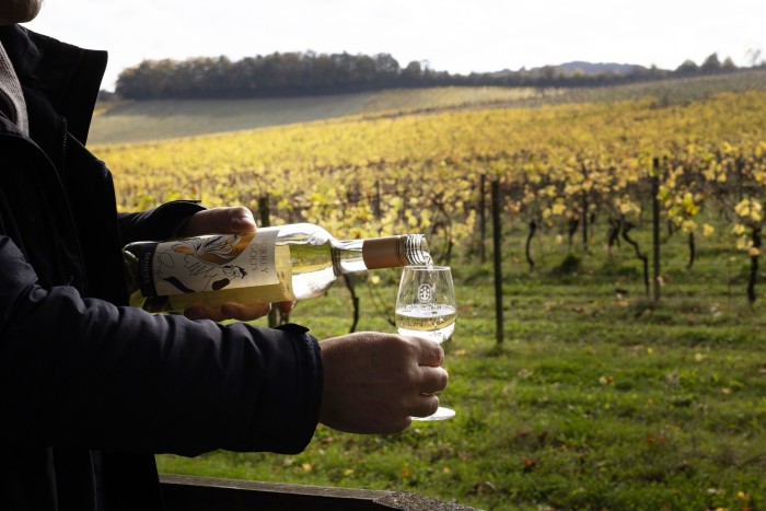 在 Denbies 倒一杯白酒