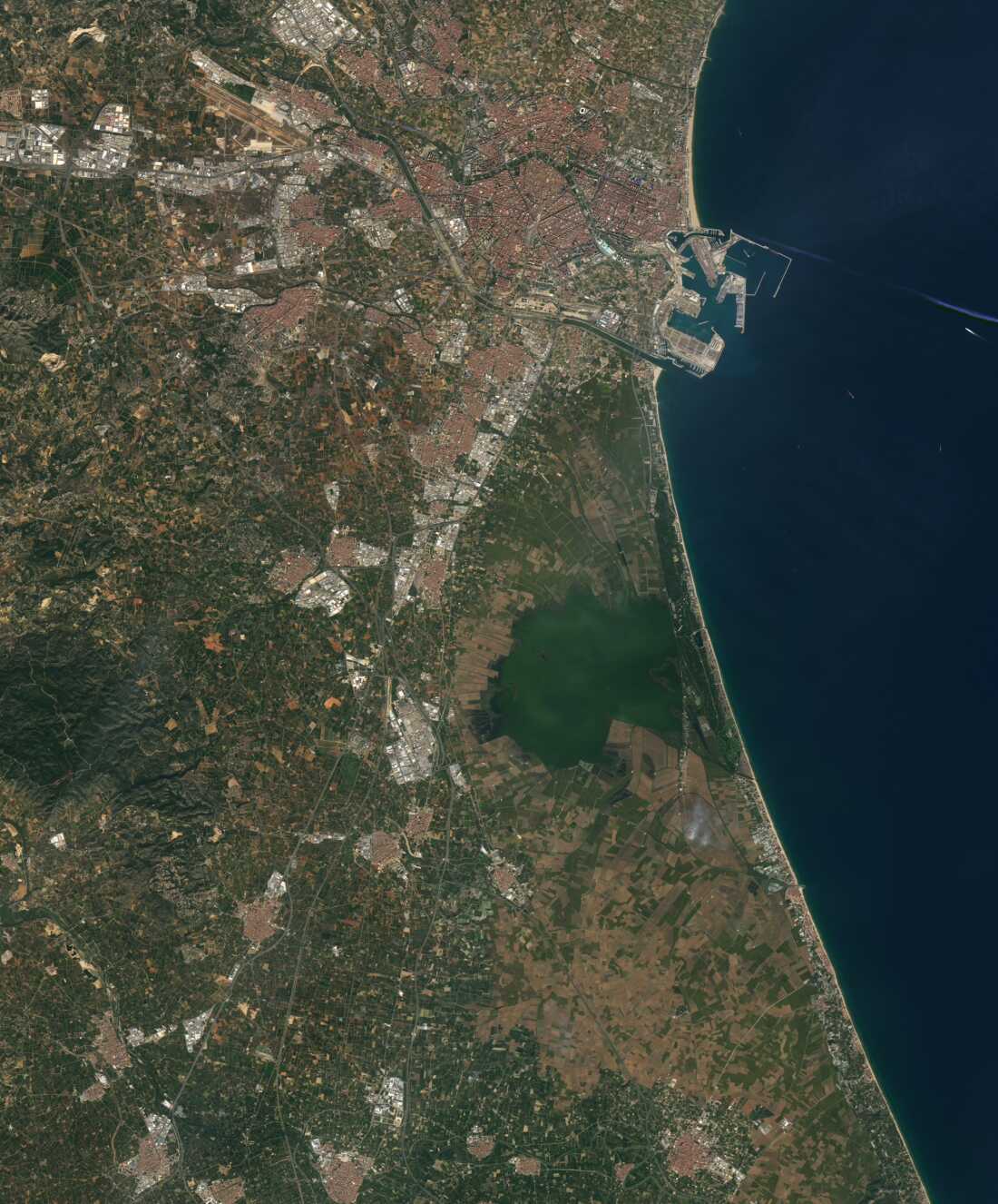 2022 年 10 月 25 日西班牙巴伦西亚的图像,由 NASA 的 Landsat 8 卫星拍摄。