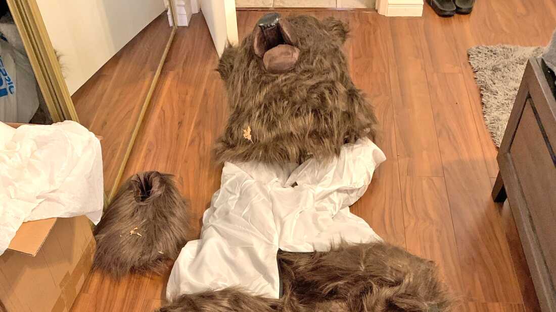 真人大小的熊服装,包括头部和爪子工具。