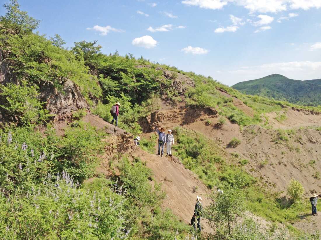 南京地质古生物研究所团队在陆家屯遗址出土了许多3D恐龙,特别是鹦鹉嘴龙和几种哺乳动物,